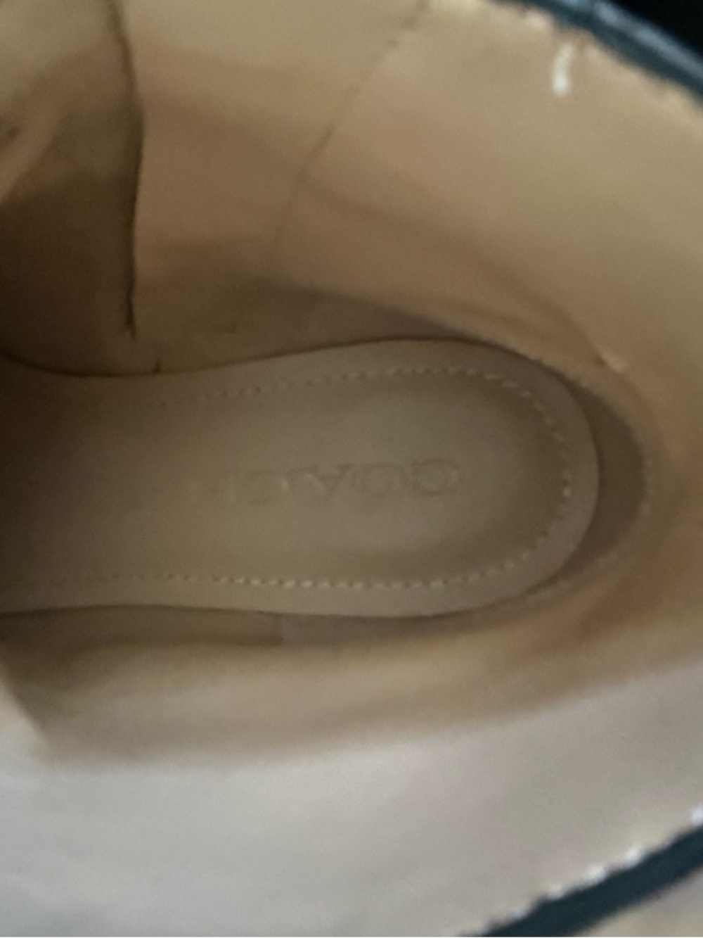 Coach Dylan Walnut Booties - Picture 13 of 16